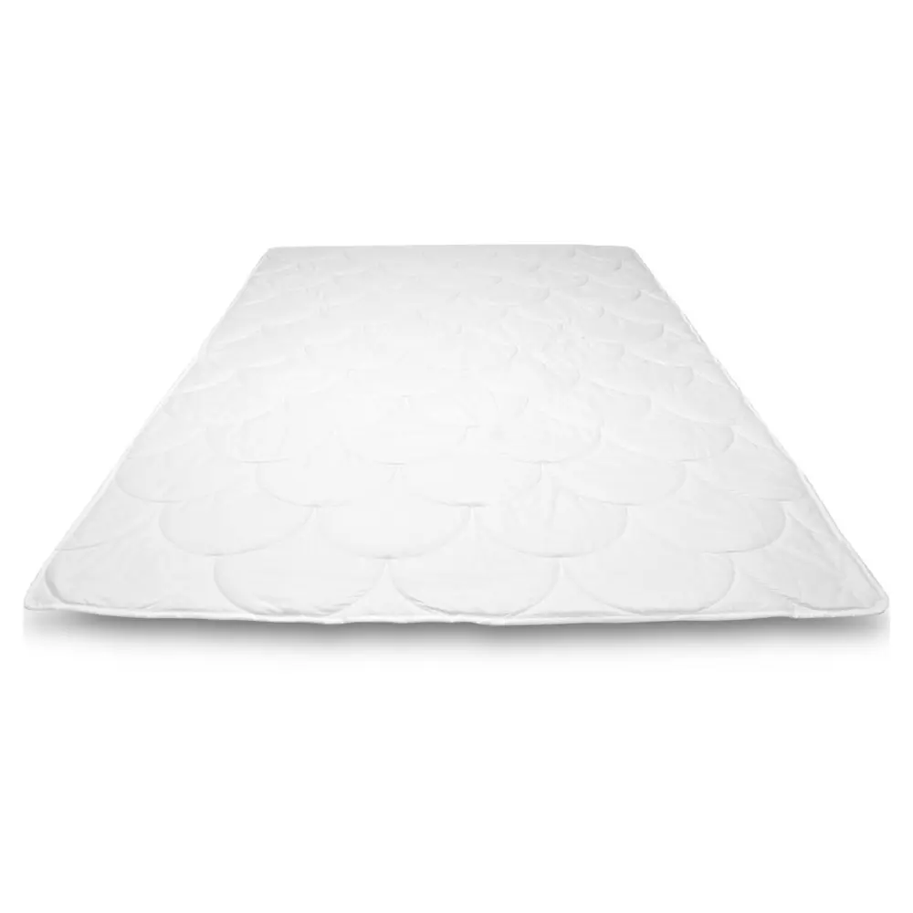 Cassenz-summer-cotton-1.webp
