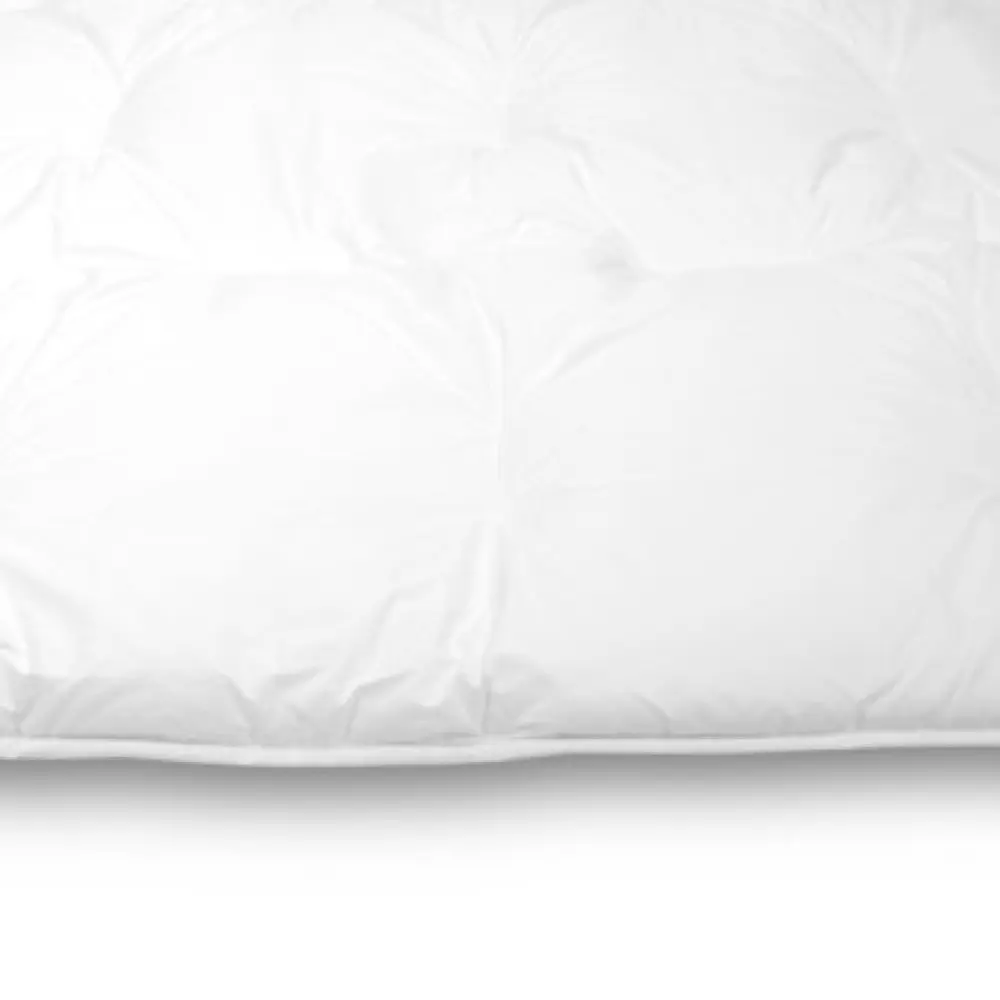 cassenz-luxury-s-winter-3-1.webp