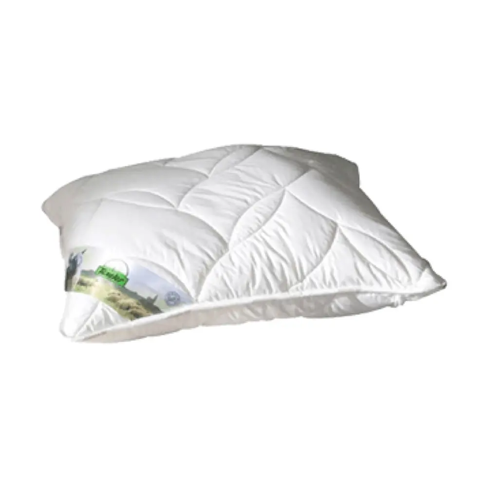 Texeler-kussen-bovenste-beste-1-2.webp Texeler kussen bovenste beste